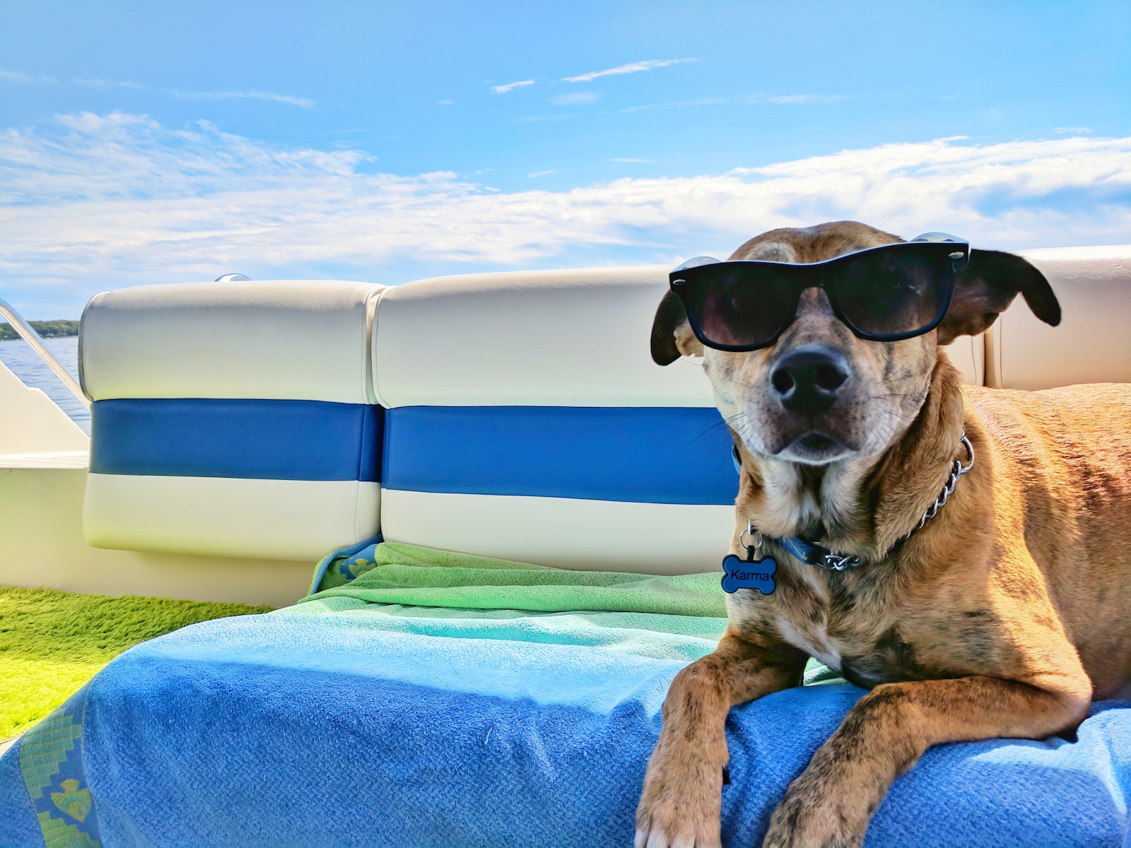 Pet Travel Adventures: Tips and Tricks for Exploring the World with Your Fur Friend